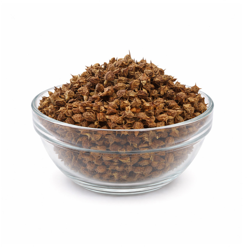 Gokhru (Bada) | Gokshura