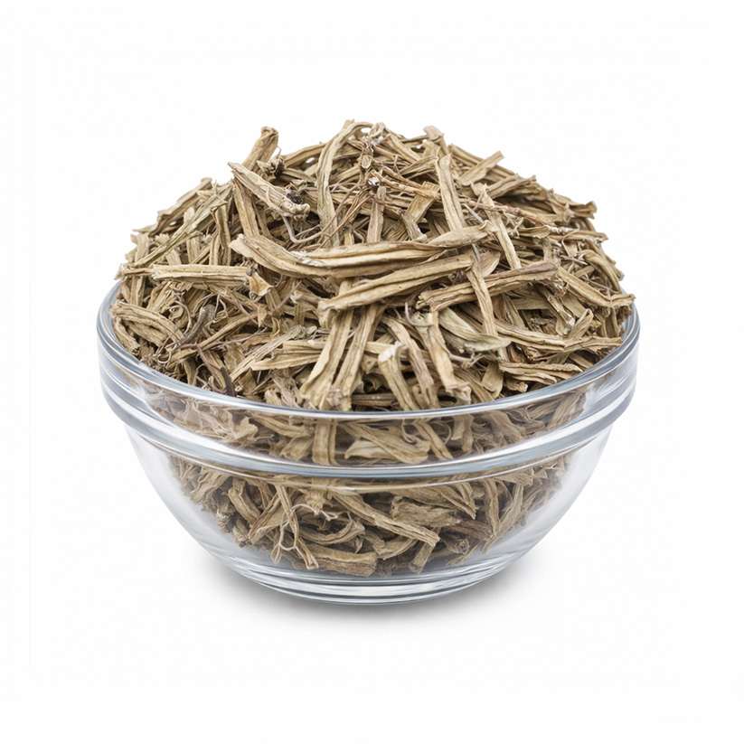 Hadjod | Asthisamharaka |Hadjora | Nalleru|Kandvel|HadSankal| Herb for healing bones