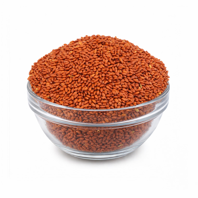 Halim Seeds | Aliv Seeds | Halon Seeds | Asaliya Seeds