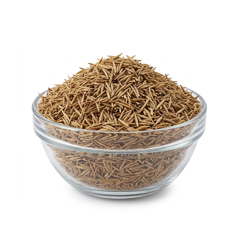 Inderjoo Kadwa - Indra Jau - indrajav kadwa - Indrajo Kadwa - Indrajao Seeds - Holarrhena Pubescens