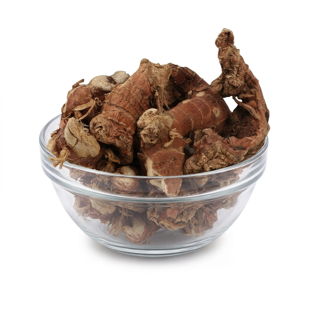 Kulanjan |Greater Galangal|Alpinia galanga