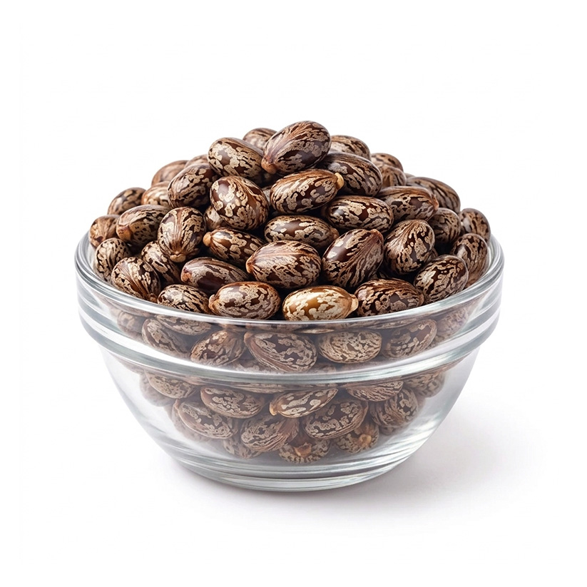 ARANDI BEEJ (RICINUS COMMUNIS)