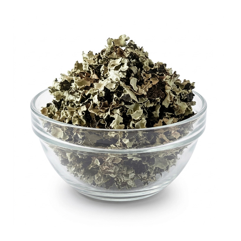 Dagad fhool | Chaal Chabila